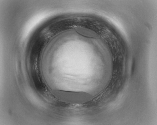 X0000115430195200911251232