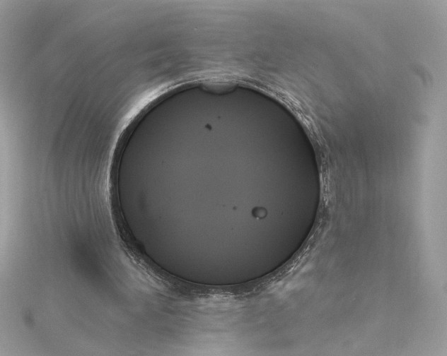 X0000115430196200911251232