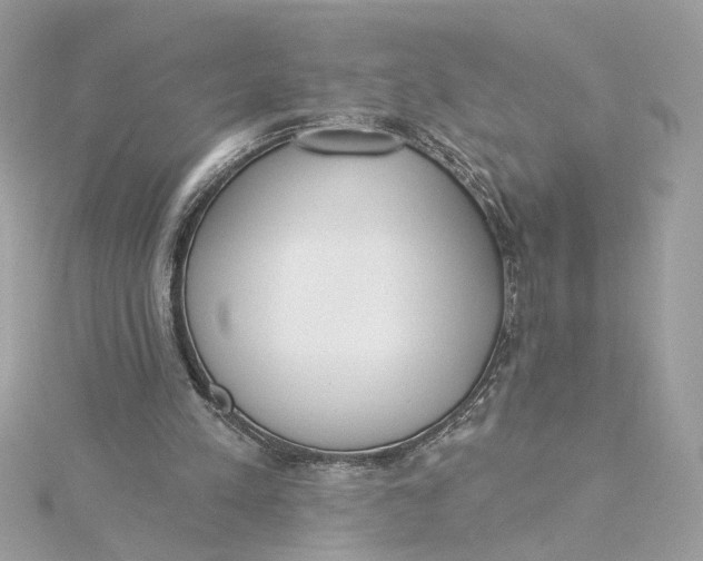 X0000115430197200911251232