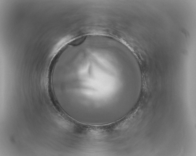 X0000115430199200911251232