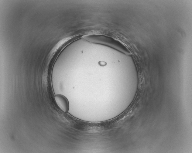 X0000115430200200911251232