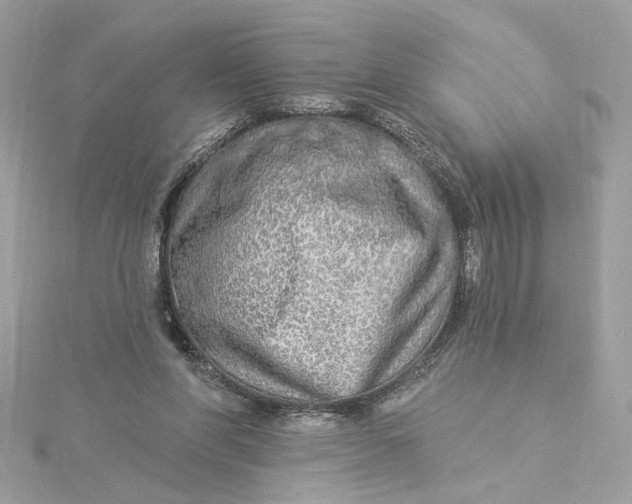 X0000115430206200911251232