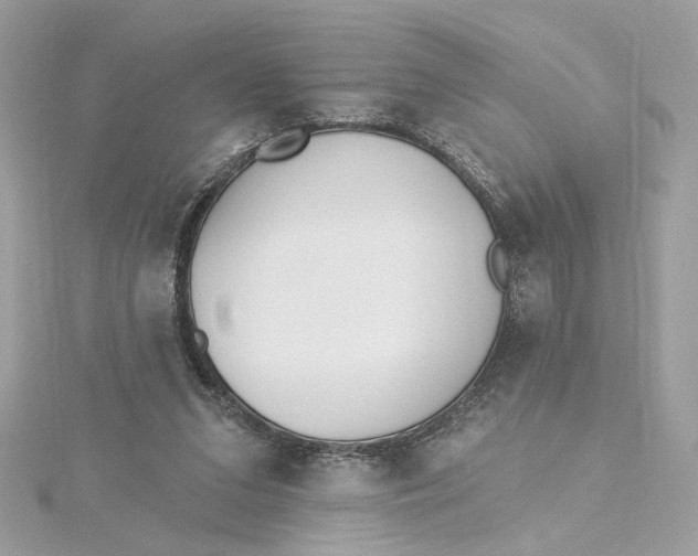 X0000115430207200911251232