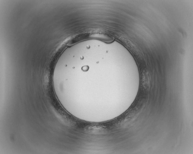 X0000115430208200911251232