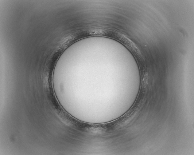 X0000115430209200911251232