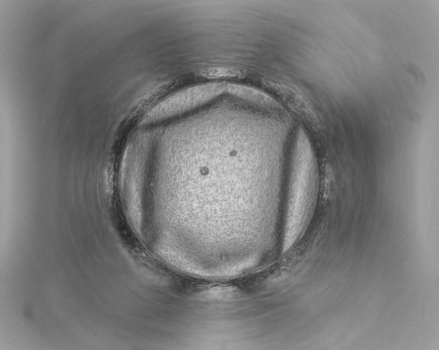 X0000115430210200911251232