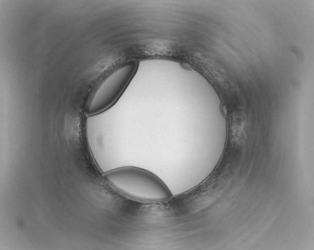 X0000115430211200911251232