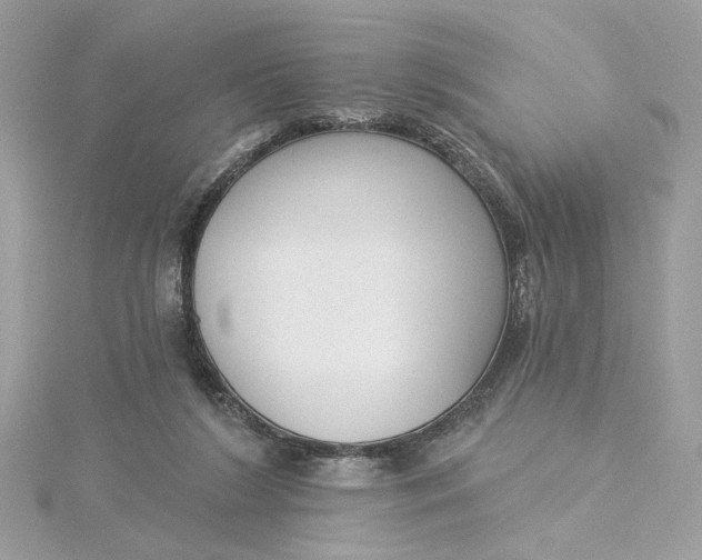 X0000115430212200911251232