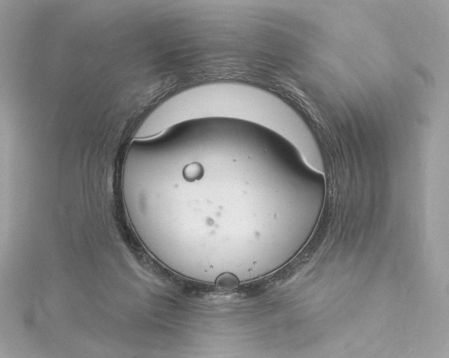 X0000115430213200911251232