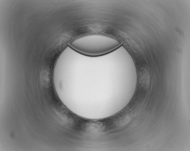 X0000115430215200911251232