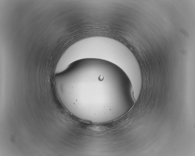 X0000115430221200911251232