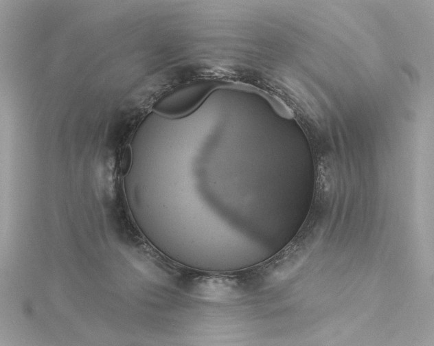 X0000115430223200911251232