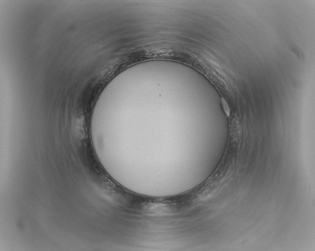 X0000115430224200911251232