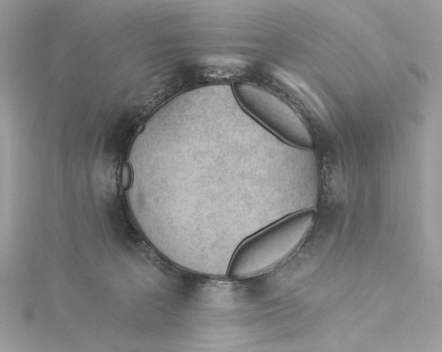 X0000115430227200911251232