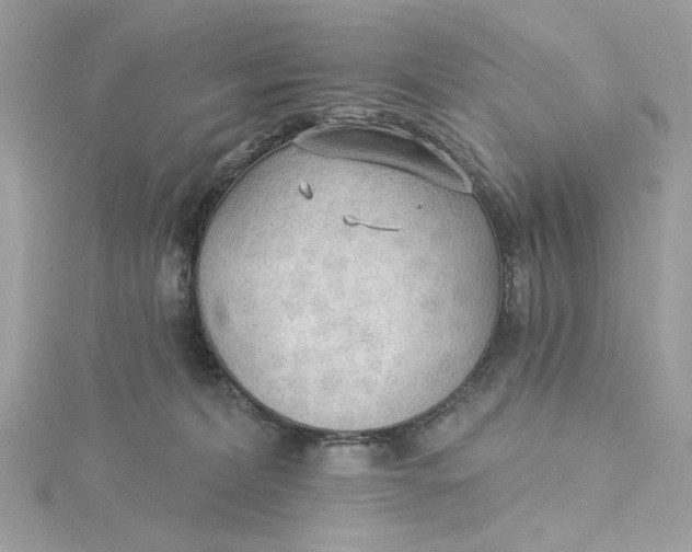 X0000115430228200911251232