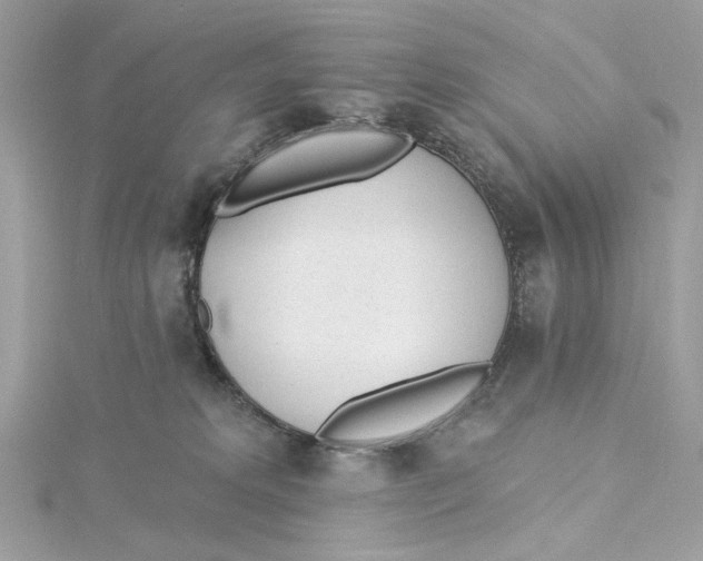 X0000115430229200911251232