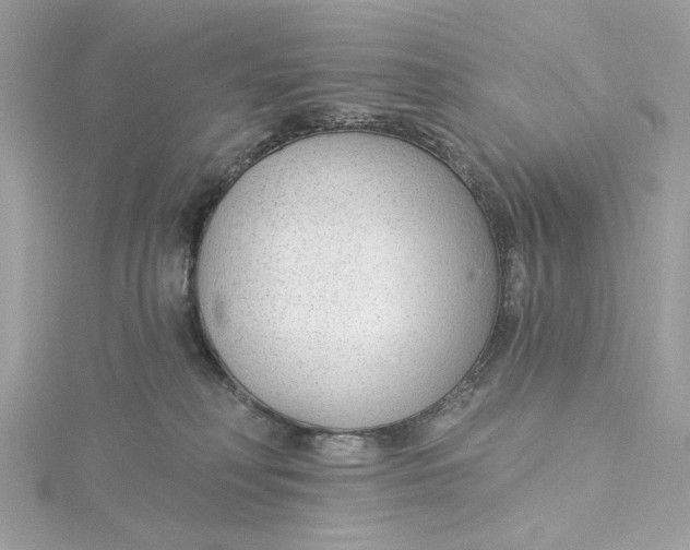 X0000115430230200911251232