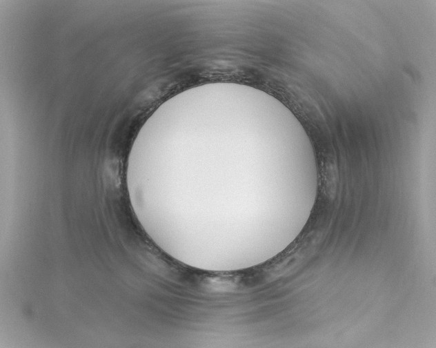 X0000115430232200911251232