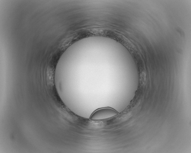 X0000115430234200911251232