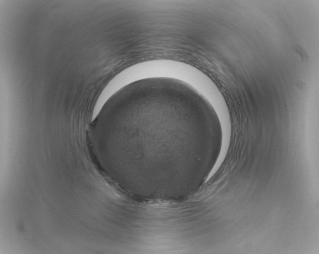 X0000115430235200911251232