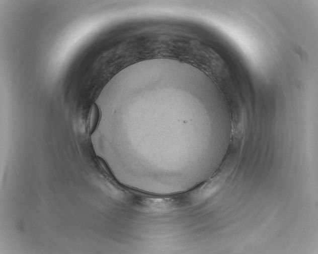 X0000115430239200911251232