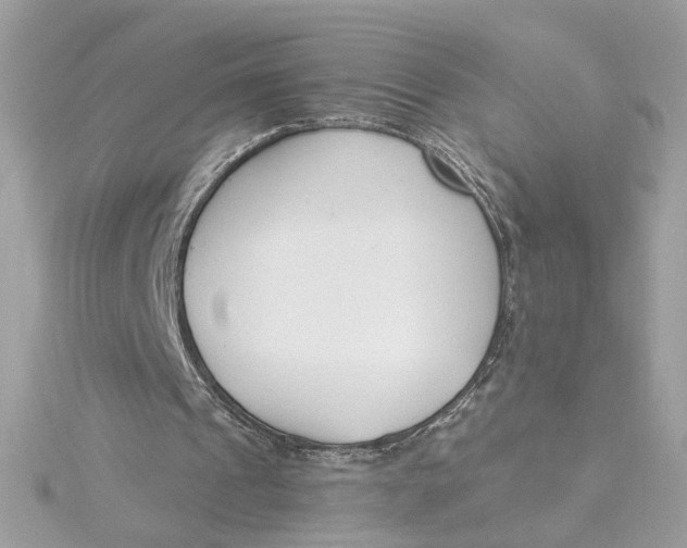 X0000115430241200911251231