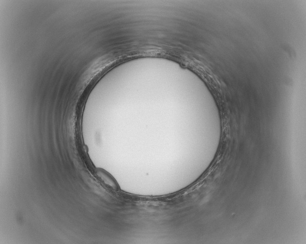 X0000115430242200911251231