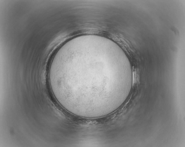 X0000115430243200911251231