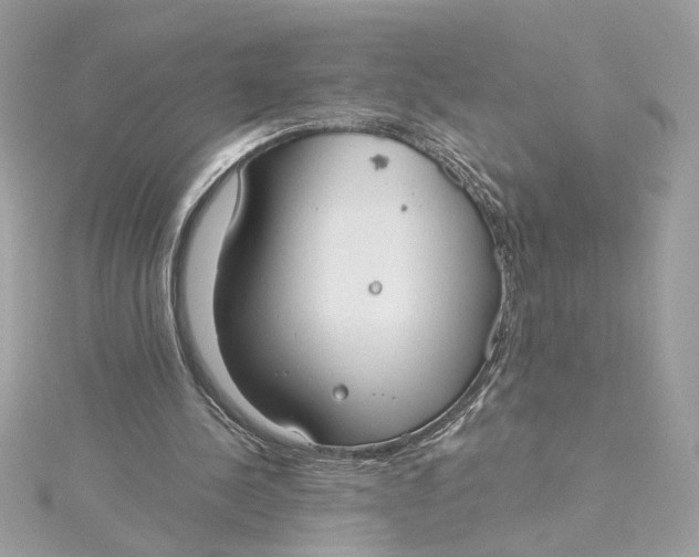 X0000115430244200911251231