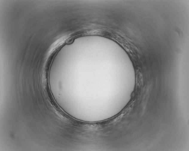 X0000115430245200911251231