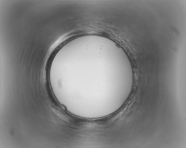 X0000115430246200911251231