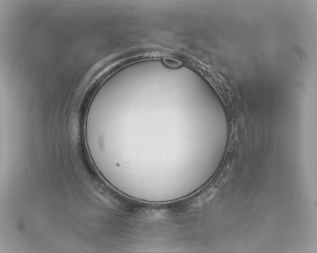 X0000115430247200911251231