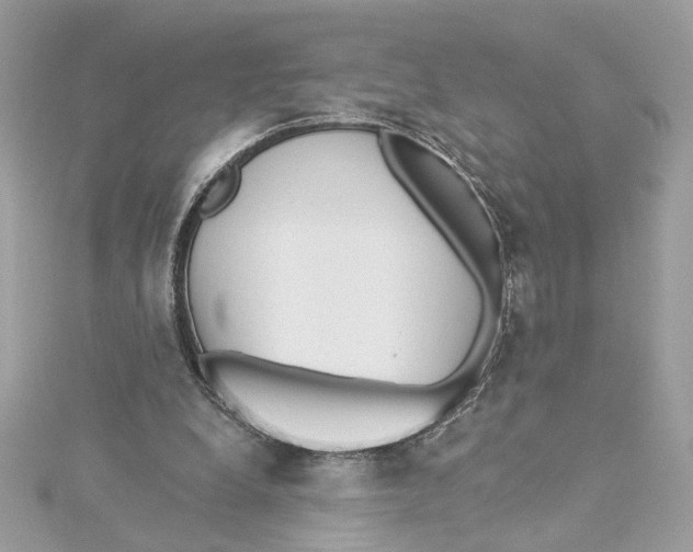 X0000115430248200911251231