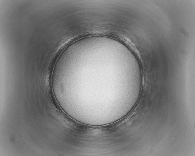 X0000115430249200911251231