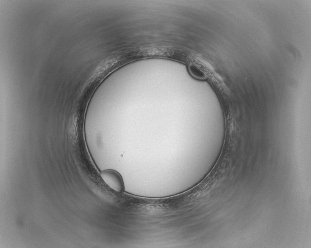 X0000115430250200911251231