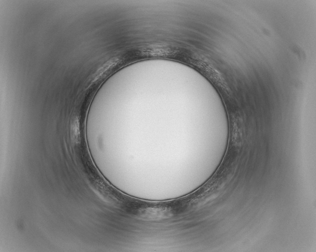 X0000115430251200911251231