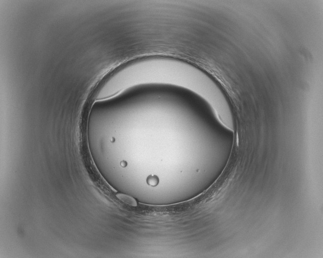 X0000115430252200911251231