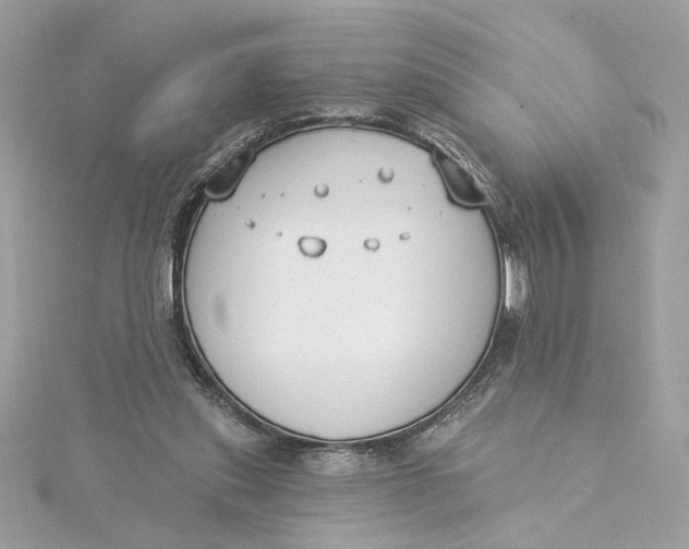 X0000115430253200911251231