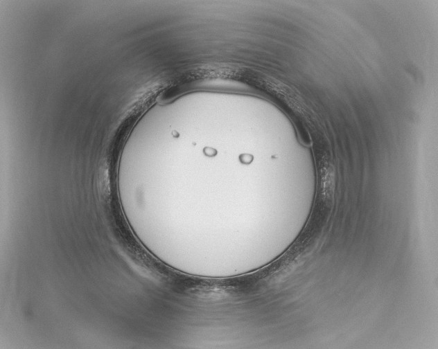 X0000115430254200911251231