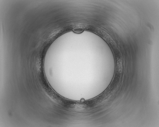 X0000115430255200911251231