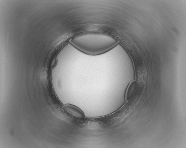 X0000115430256200911251231