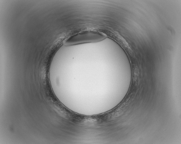 X0000115430257200911251231