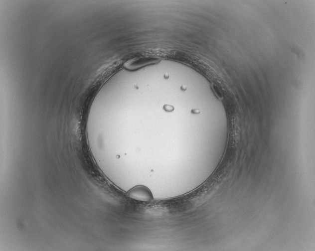 X0000115430258200911251231