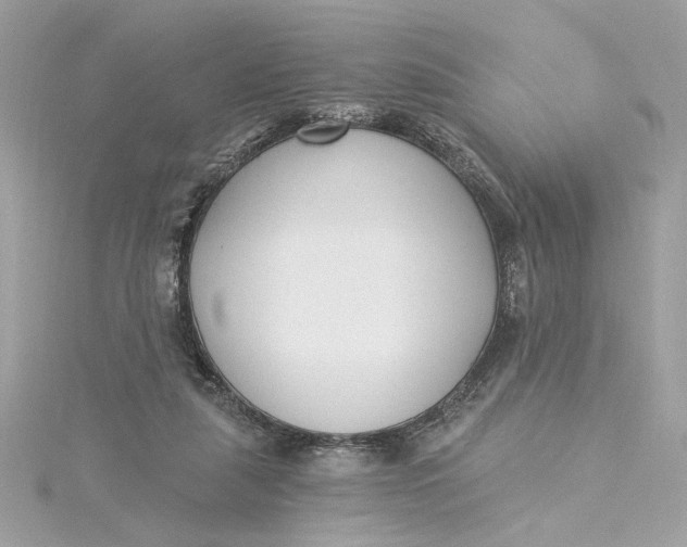 X0000115430259200911251232