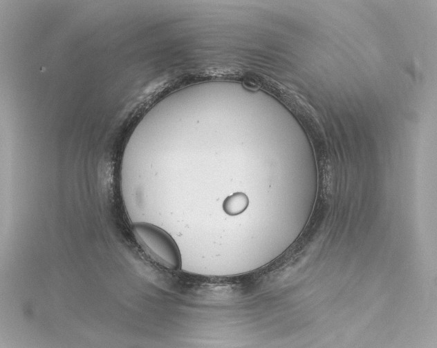 X0000115430260200911251232