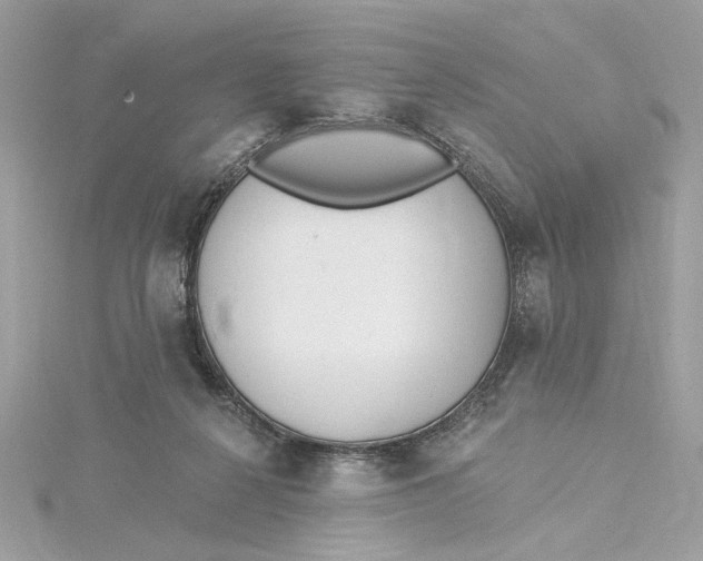 X0000115430264200911251232