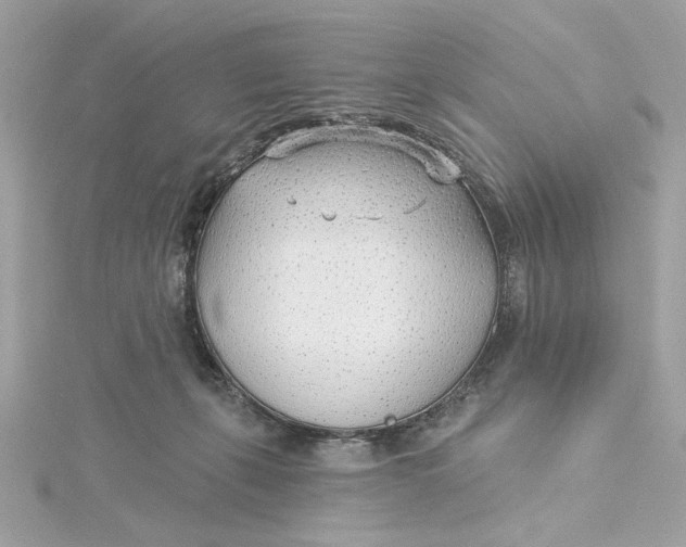 X0000115430271200911251232