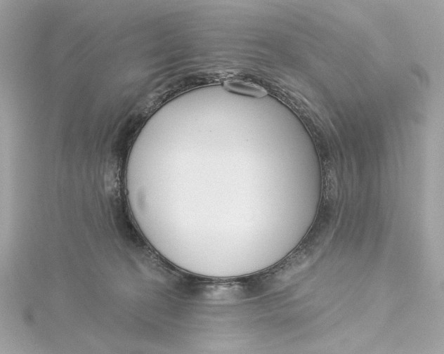 X0000115430274200911251232