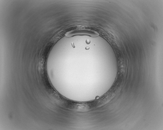 X0000115430275200911251232