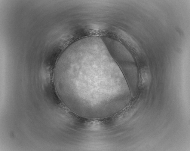 X0000115430276200911251232